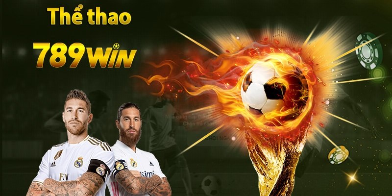 Thông tin về sảnh cược banh bóng 789win